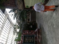 android_upload_pic-龙达温泉生态城