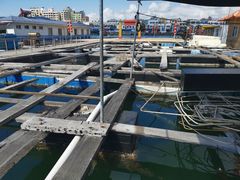 -蓝湾碧波·老字号·疍家非遗海上餐厅