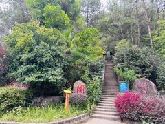 -白云山风景名胜区