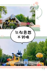 -酷酷兔少儿拓展天地