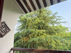 -苏州吴宫泛太平洋酒店