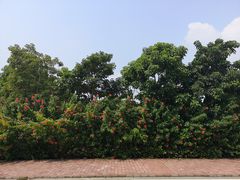 -南沙蒲洲花园