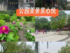 -丰台花园