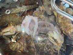 -大锅强·蒸海鲜青岛菜(吾悦广场店)