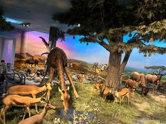 -国家自然博物馆