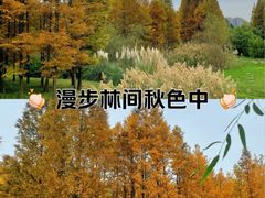 -贵阳市花溪国家城市湿地公园