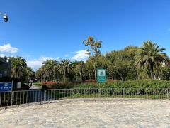 -洱海月湿地公园