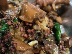 炒鸡-洪沟崖张记炒鸡店(聚才路店)