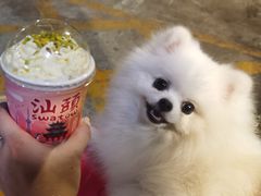 -一杯潮茶·专注潮汕茶饮(十二中创始店)