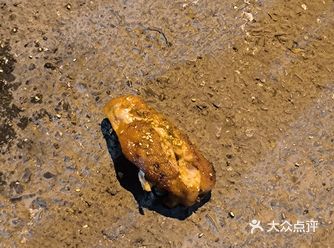 我真服了‍♂️新烤的寻思分一下，分给大地了#用liv