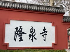 -百脉泉景区