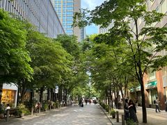 -涩谷全向十字路口