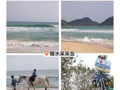 -吉英盐焗鸡(文中路店)