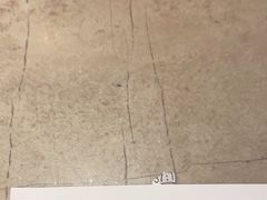 -鲜得来排骨年糕(豫园店)