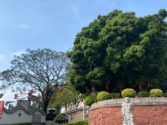 -广州神农草堂中医药博物馆