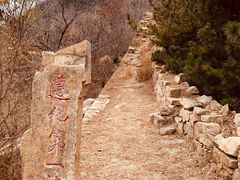 -遵化市禅林寺古银杏风景园