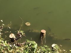 -香山湖公园