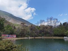 -蝴蝶泉公园