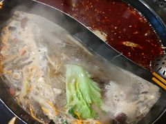 -蜀大侠火锅(建设路第五大道店)