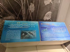 -辽宁古生物博物馆