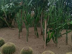 -祥源·阜阳生态乐园