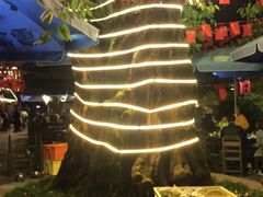 -老幺泉水鸡