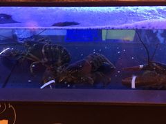 -Burger & Lobster(Dean Street)