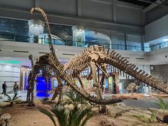 -自贡恐龙博物馆