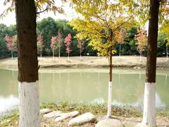 -江南大学(蠡湖校区)