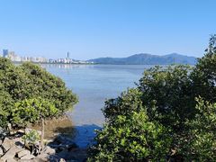 -深圳湾公园(南山区)