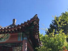 -莲花池公园