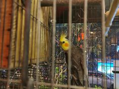 -玉桥餐厅(天坛店)