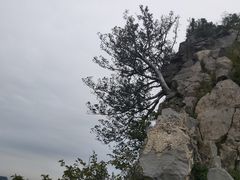-神农山景区