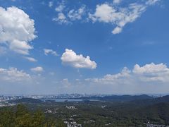 -楼外楼(西湖景区孤山路店)