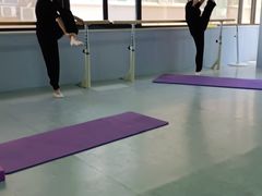 -舞蕾舞蹈(特长生校区)