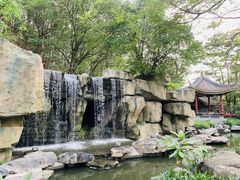 -顺峰山公园