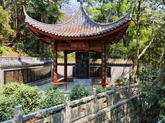 -十八棵（老龙井）御茶园(老龙井店)