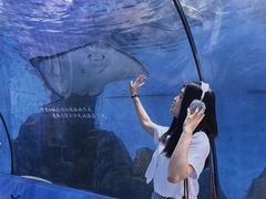 -重庆欢乐海底世界