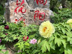 -太阳宫公园