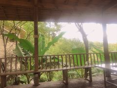 -生态园山庄(森林公园店)
