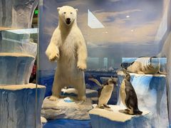 -国家自然博物馆