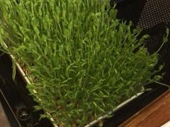 -左庭右院鲜牛肉火锅(南通CBD大有境店)