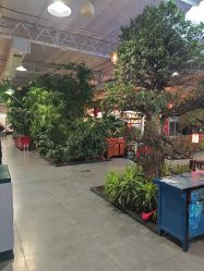 点击看大图 -特味村·宴会厅(生态园店)