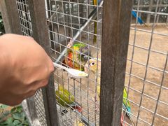 -南宫五洲植物乐园