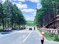 -塞罕坝国家级自然保护区