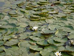-天津东丽湖风景区