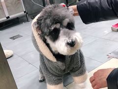 -宠福鑫康馨动物医院·骨科·眼科