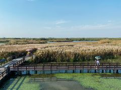 -宁波杭州湾国家湿地公园