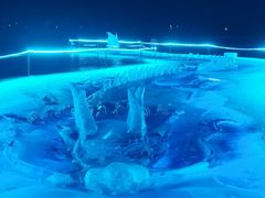 -长春市南湖公园