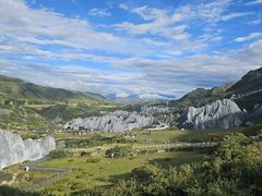 -小龙坎火锅(全球旗舰店)